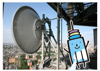 �S���̏�i115m�n�_�j